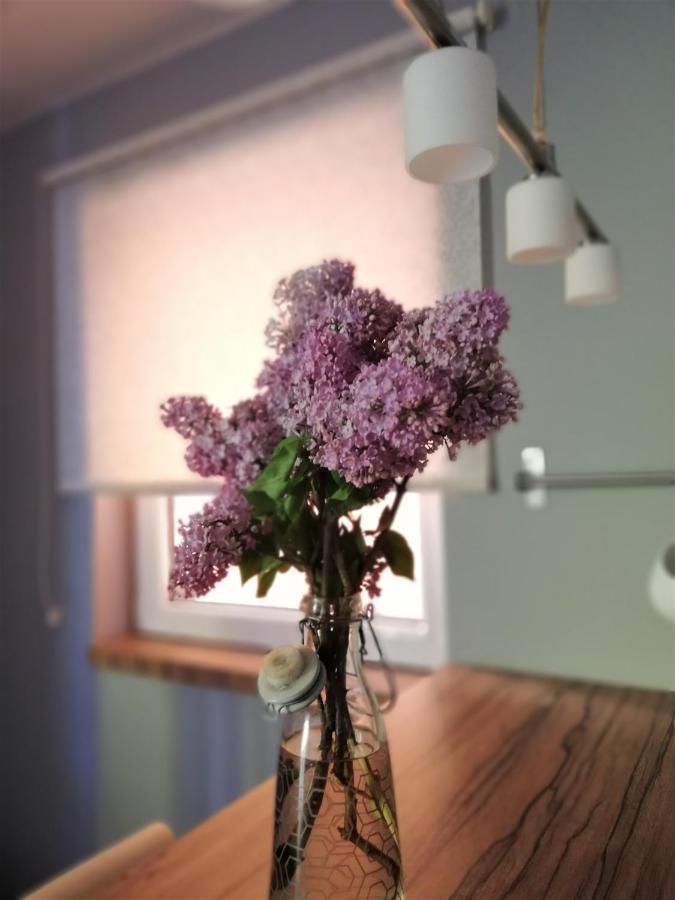 Nest Hotel Beograd Ngoại thất bức ảnh
